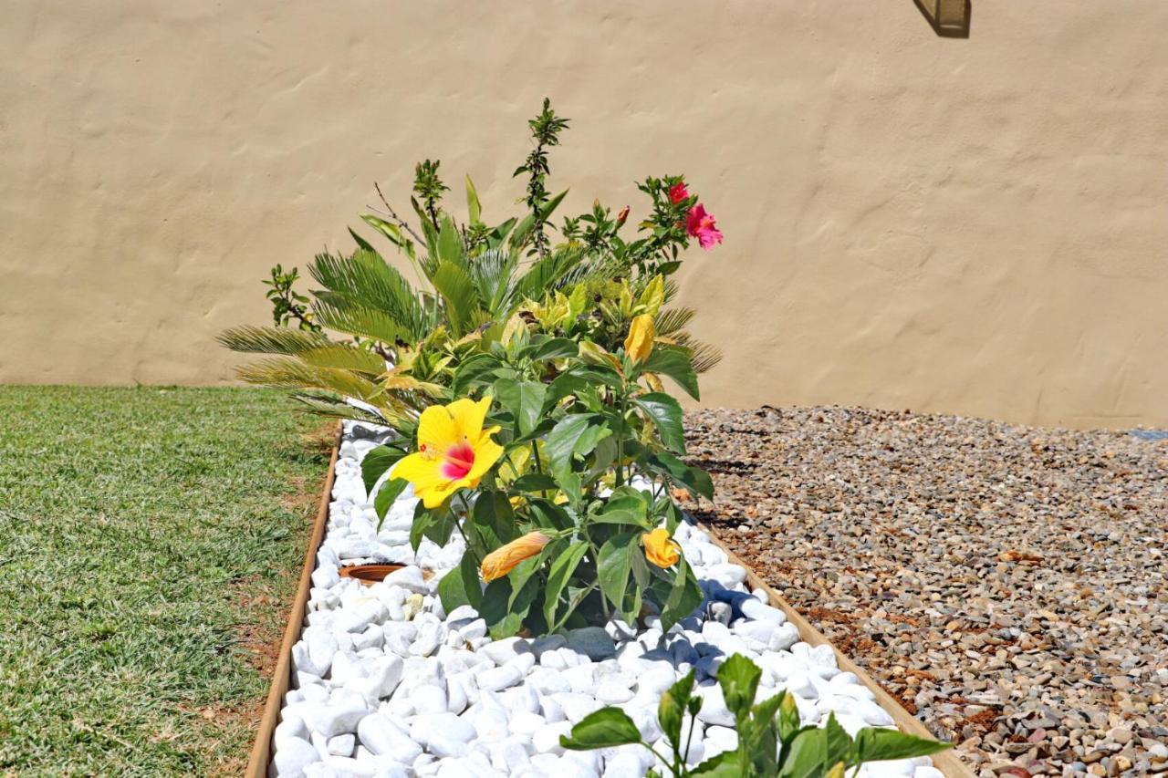 Bungalow Con Piscina Privada Conil De La Frontera Exteriör bild